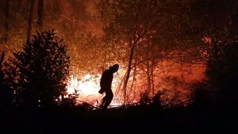 La Unidad Militar de Emergencias en un incendio en Asturias.