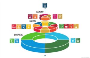 Infografía que muestra la importancia de los ODS relacionados con la biodiversidad