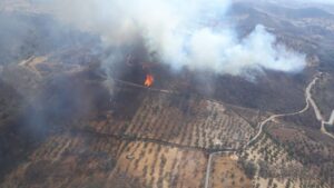 Incendio forestal en Barrancos, Portugal